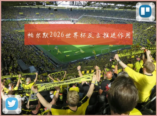 帕尔默2026世界杯反击推进作用