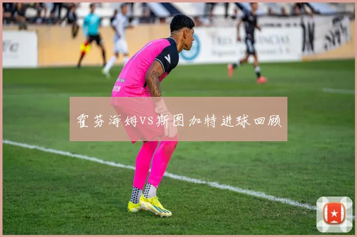 霍芬海姆vs斯图加特进球回顾