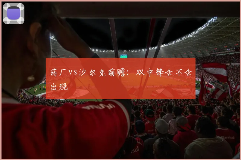药厂vs沙尔克前瞻：双中锋会不会出现