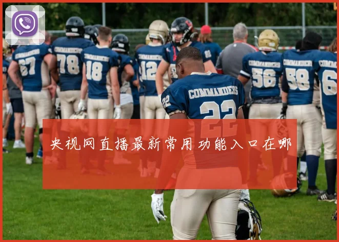 央视网直播最新常用功能入口在哪