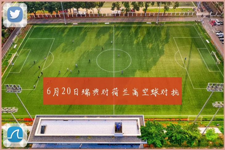 6月20日瑞典对荷兰高空球对抗